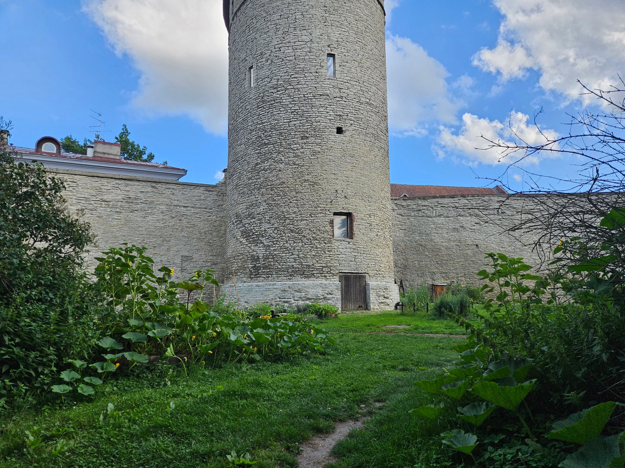 Talinn photograph 14