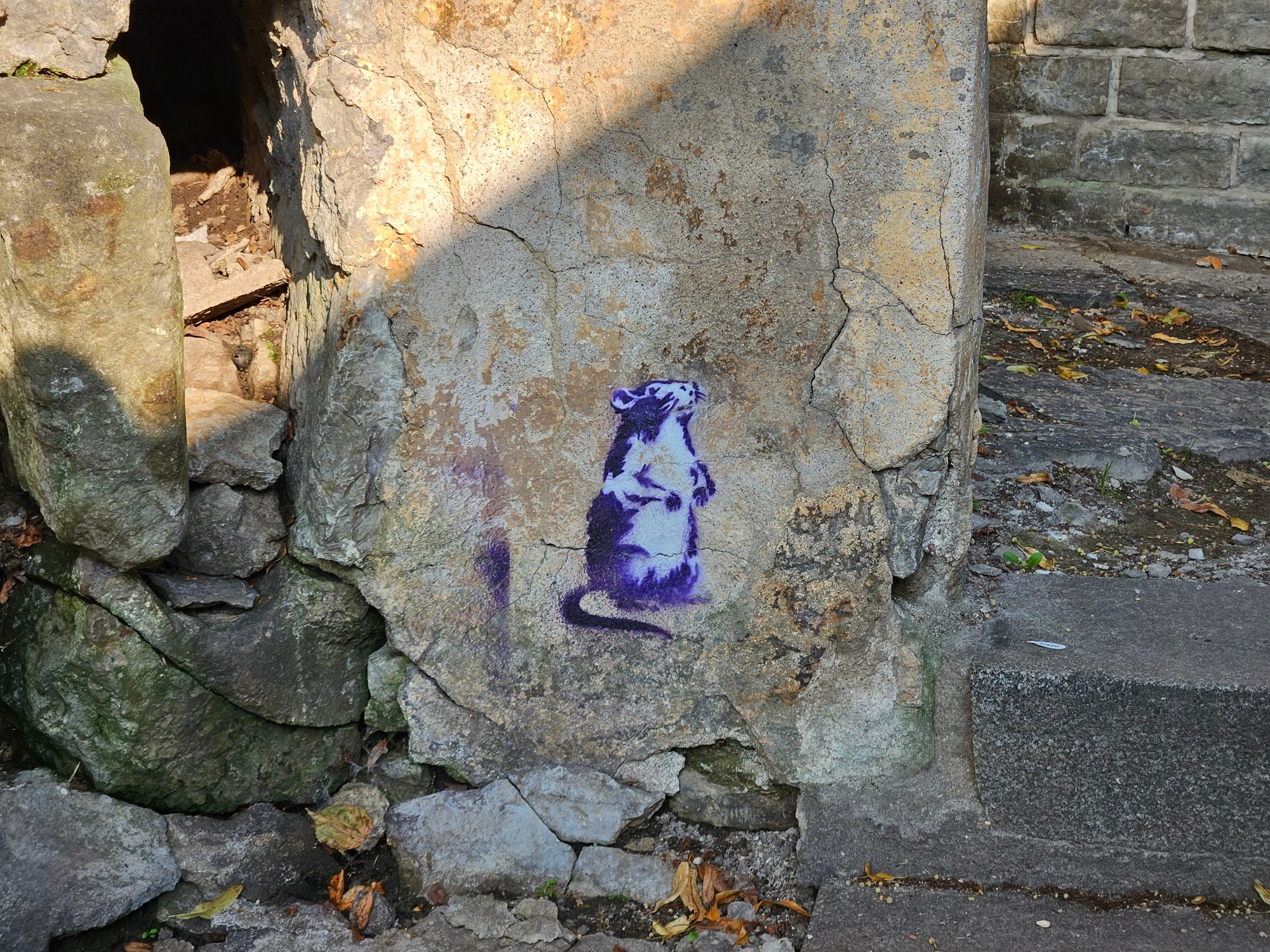 Talinn photograph 16