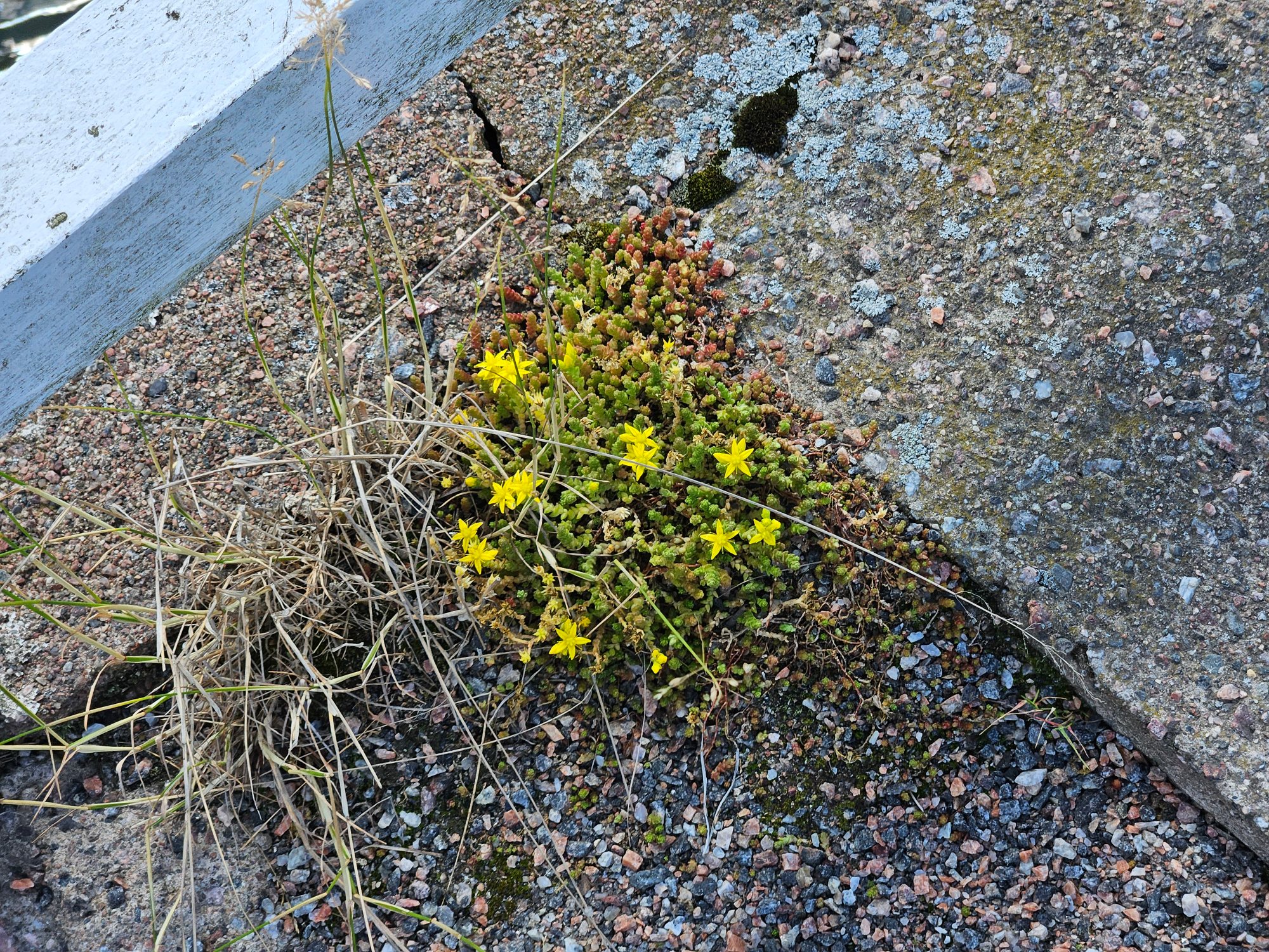 Helsinki photograph 14
