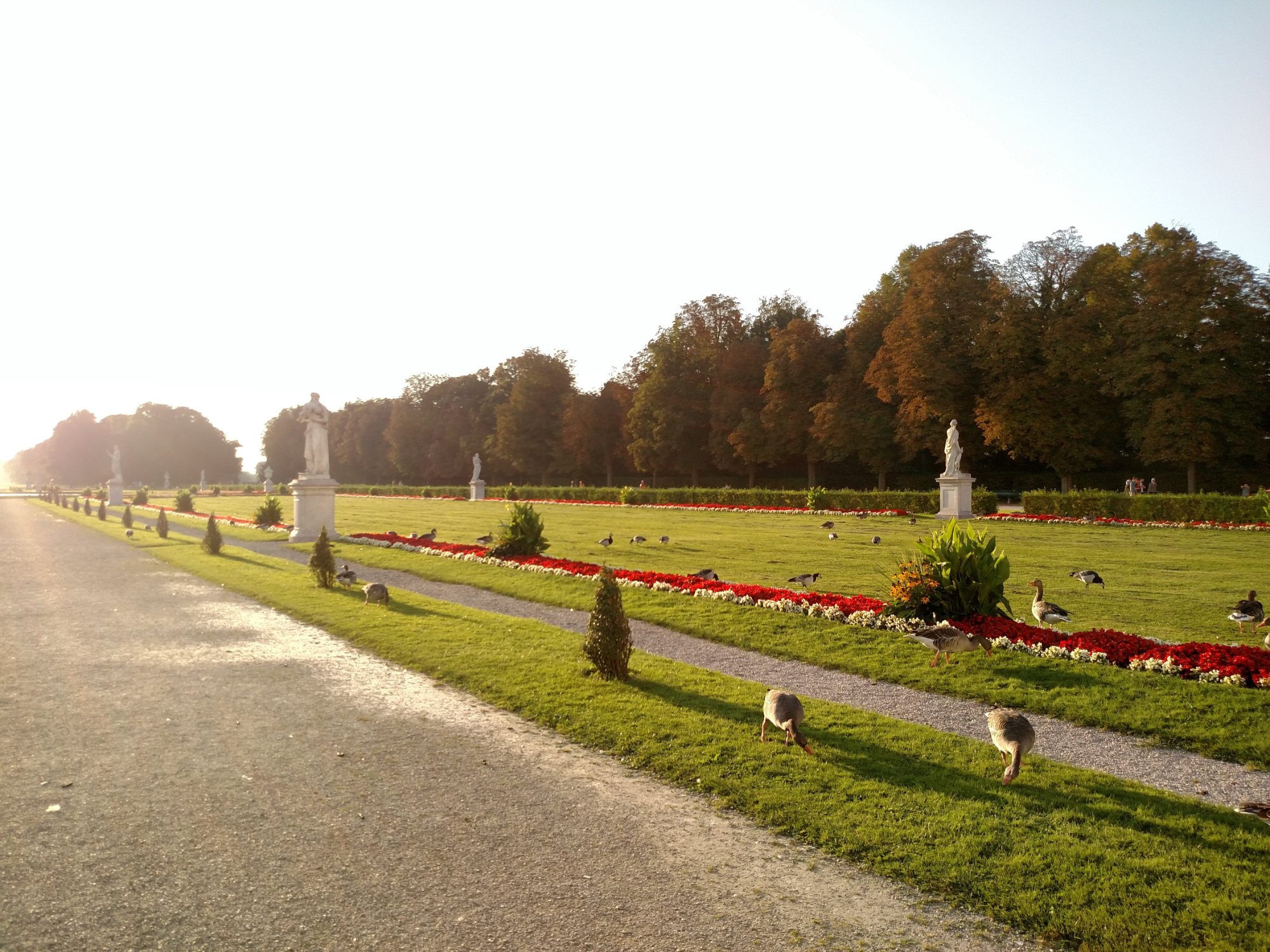 Munich photograph 55