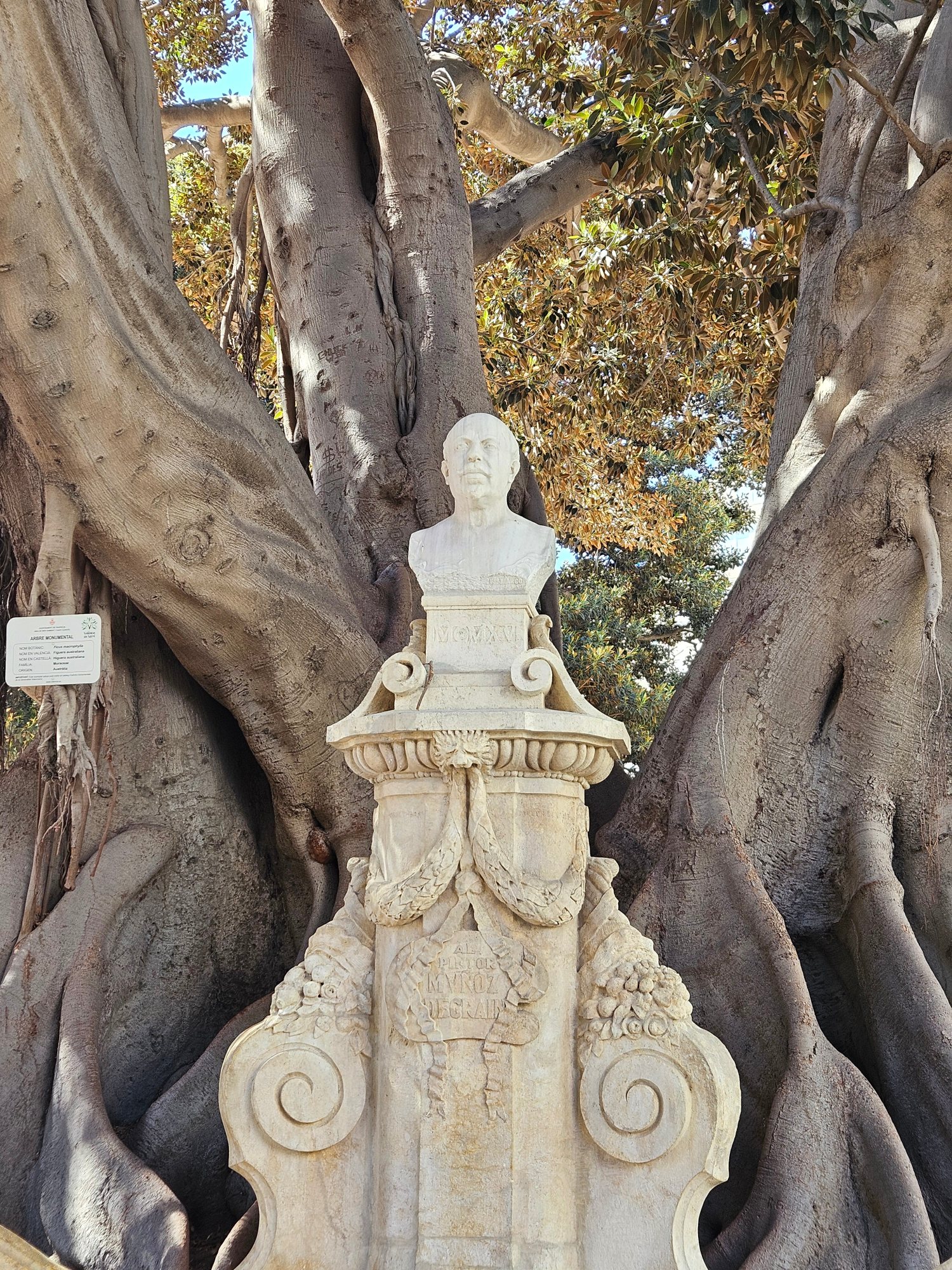Valencia photograph 27